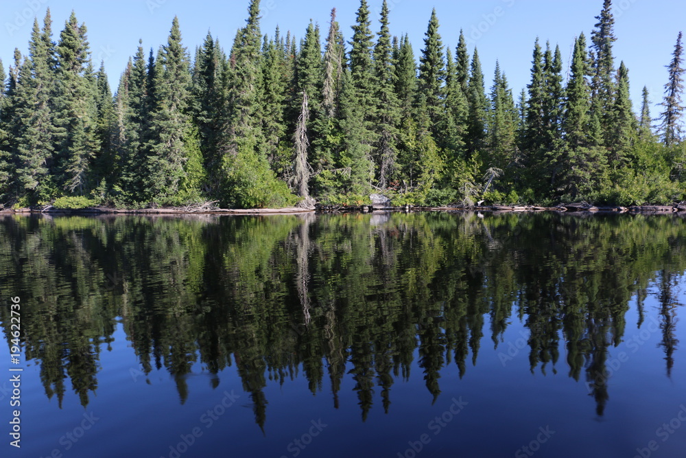Pines lake reflection