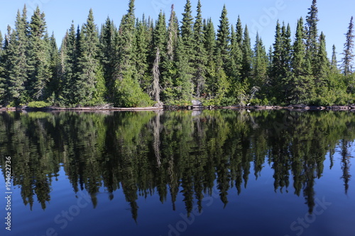 Pines lake reflection