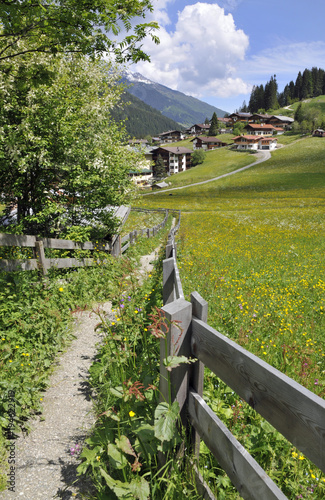 weg durch blumenwiesen nach volderau im stubaital photo