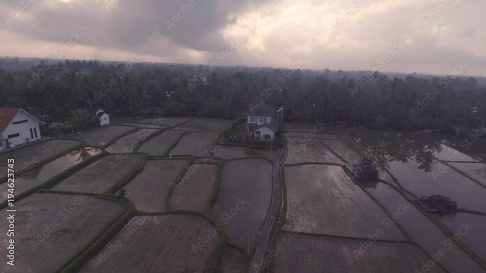balinese rice terraces at Ubud Bali Indonesia. Aerial rice field ...