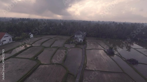 balinese rice terraces at Ubud Bali Indonesia. Aerial rice field patterns filmed in 2k photo