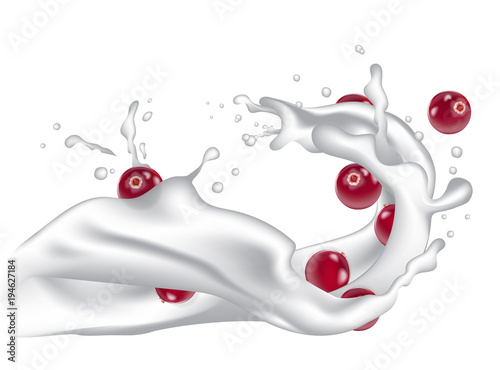 Milk splash wave with falling tumble cranberries for packaging design. Yogurt, pudding, smoothie or milk.  Vector.