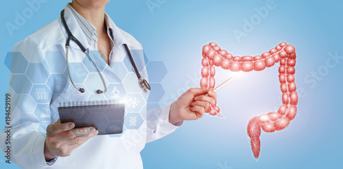 Foto Doctor shows colon of a person .