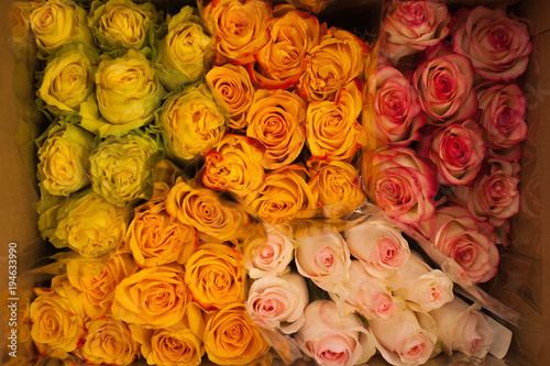 many bouquets of roses