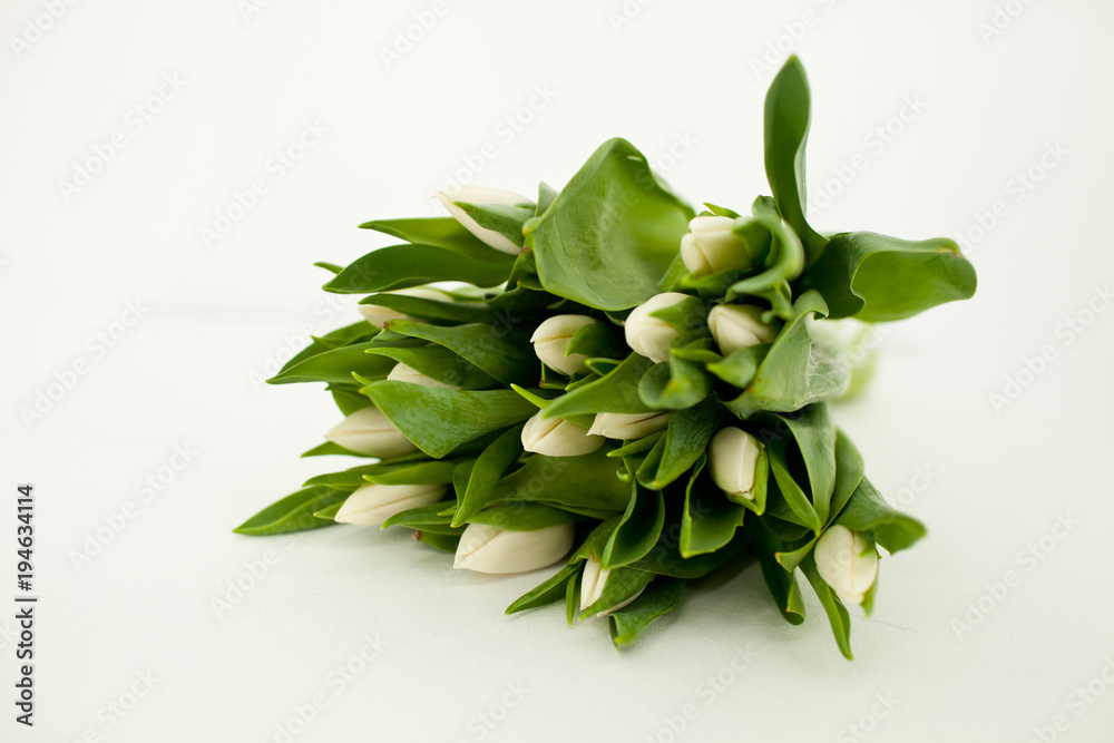 a bouquet of white tulips