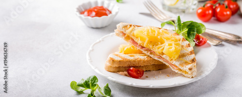 Hot fresh hawaii toast sandwich with ham, pineapple, tomato and cheese. Healthy summer food concept with free space for text, banner.