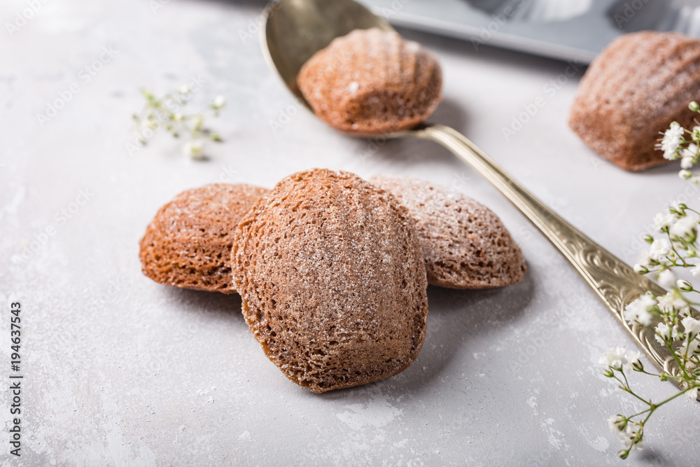 Homemade chocolate cookies Madeleine. Holidays and party food concept with copy space. Homemade chocolate cookies Madeleine. Holidays and party food concept with copy space.