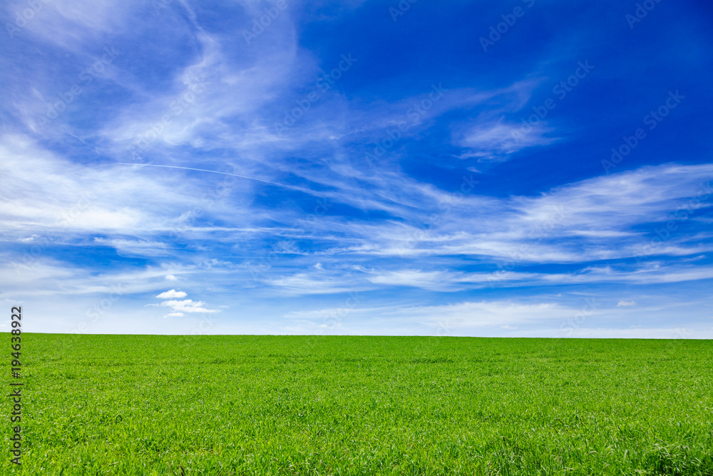Idyllic summer landscape Southern England UK Idyllic summer landscape Southern England UK