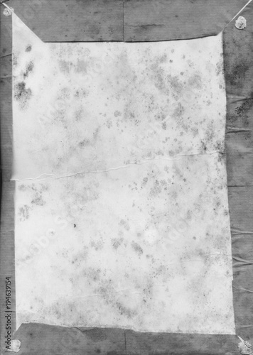 black and white Dirty moist mouldy damp spores texture background. Rustic and weathered. photo