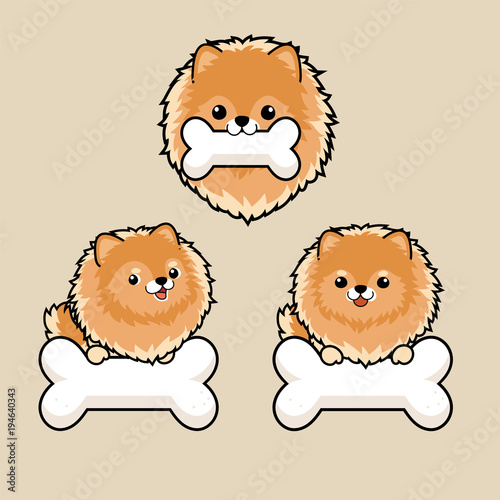 Close up head shot , set of Cute cartoon character design Pomeranian dog ,bit white bone.