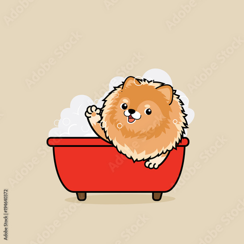Cute cartoon character design Pomeranian dog in tub take a bath in bathtub with  soap bubbles
