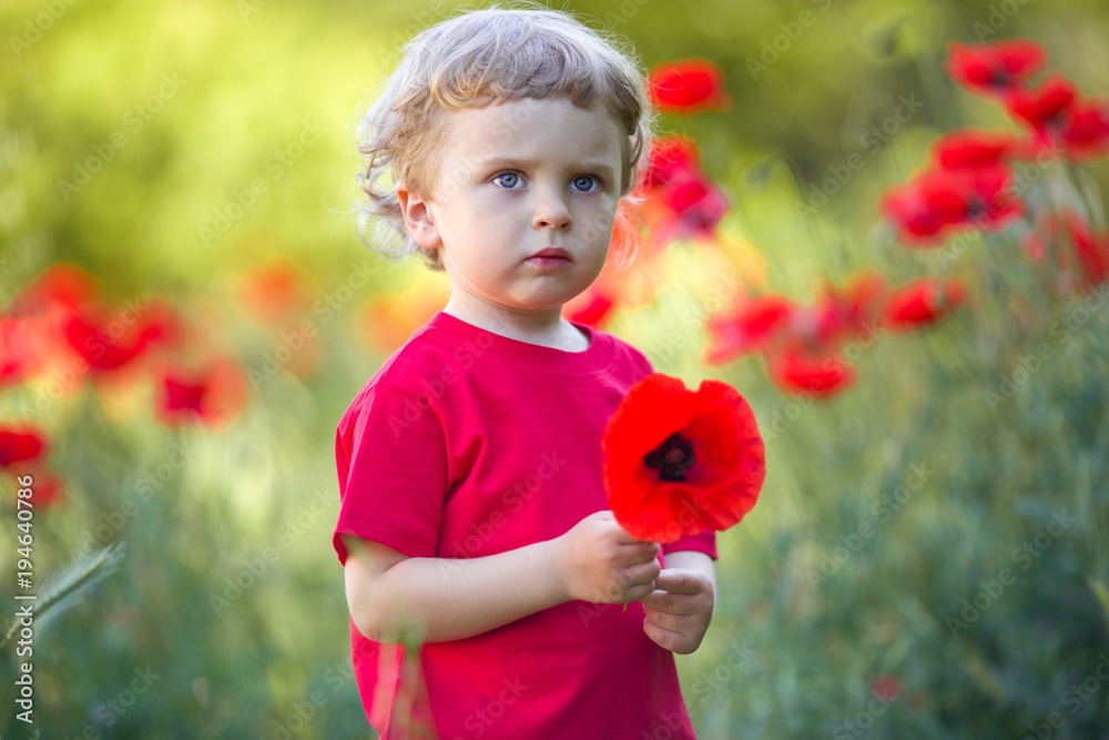 A small blond boy is holding red poppy flower A small blond boy is holding red poppy flower
