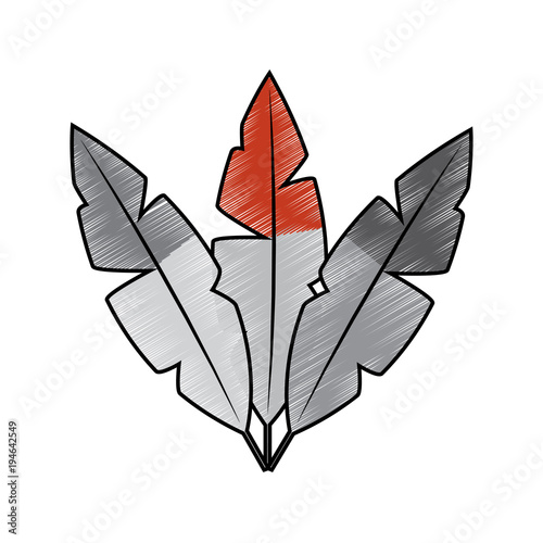 feathers bird icon image vector illustration design 