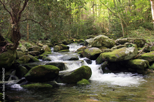 A mountain stream located in the Smokey Mountain National Park, KY