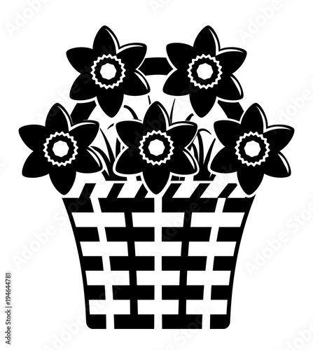 daffodils in basket