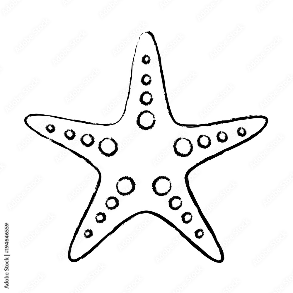 Starfish drawing  Starfish pen sketch  Sea Life Art
