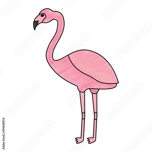 flamingo bird tropical icon image vector illustration design 