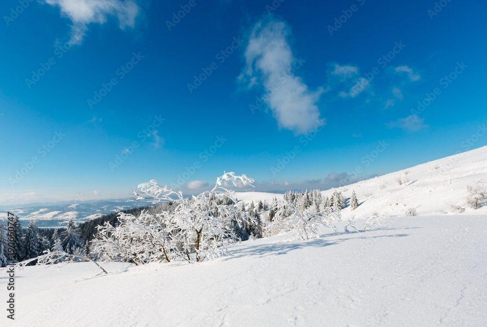 Winter mountain snowy landscape Winter mountain snowy landscape