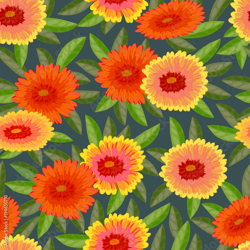 Gaillardia pulchella (firewheel, Indian blanket, Indian blanketflower, or sundance)Seamless pattern. Vector illustration.