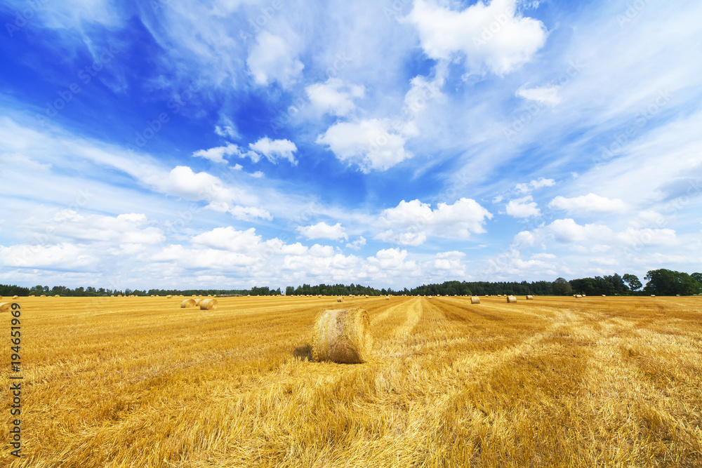 Haystacks field and beautiful blue sky