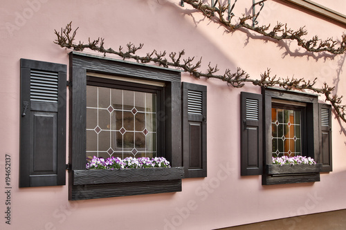 Germany, window boxes photo
