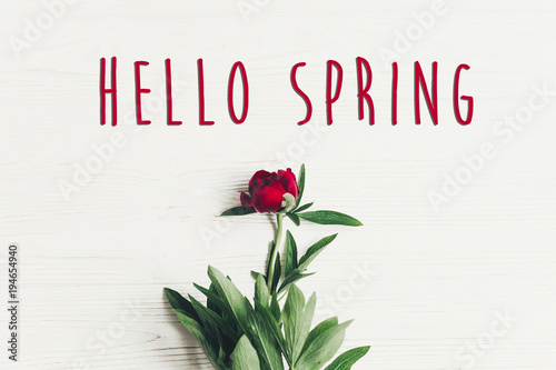 hello spring text sign on beautiful red peonies blooming on white wooden rustic background, flat lay. greeting card with space for text. top view