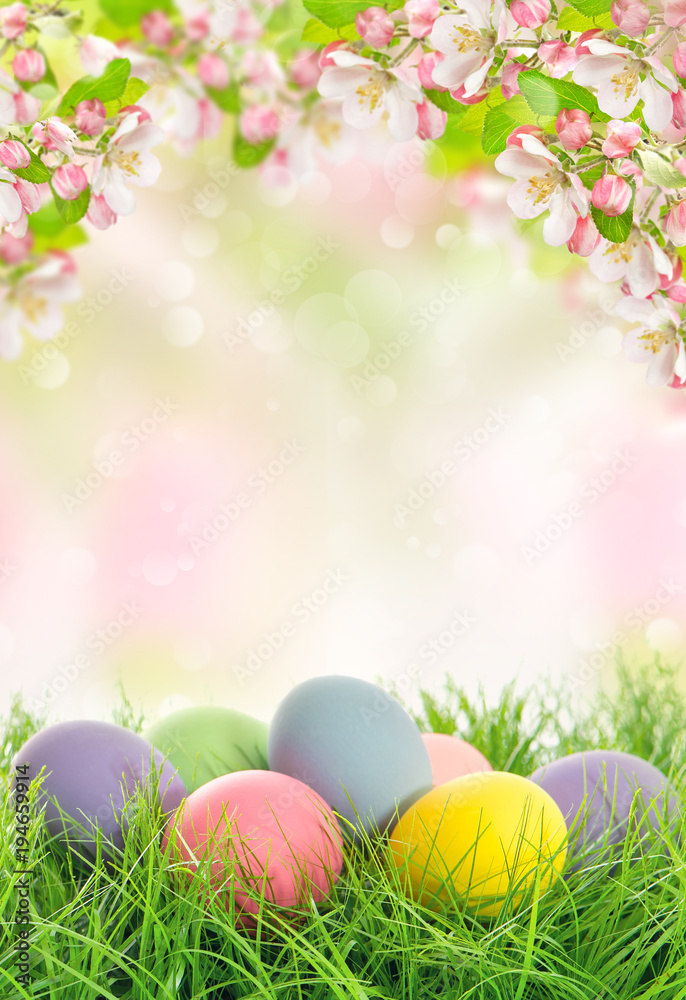 Fototapeta premium Easter eggs spring flowers Apple tree blossoms