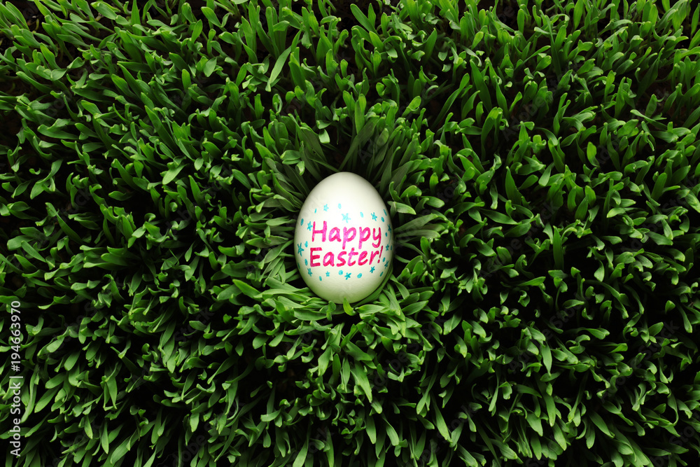 Fototapeta premium Single Happy Easter egg hidden in grass