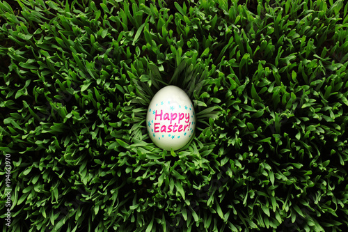 Single Happy Easter egg hidden in grass