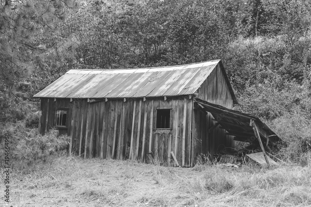 Obraz premium Old Abandoned Building in Forest (Black and White)