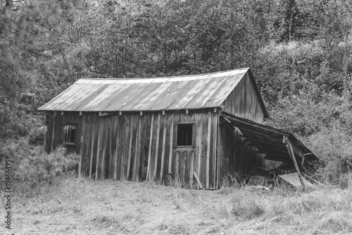 Old Abandoned Building in Forest (Black and White)