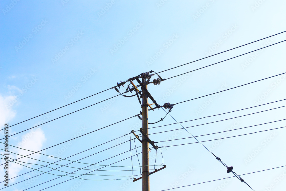 Under the sky, trees near the poles