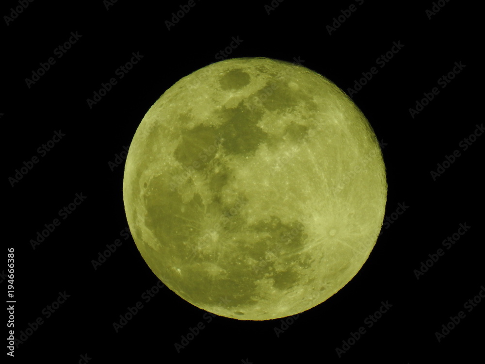 Obraz premium 満月の夜