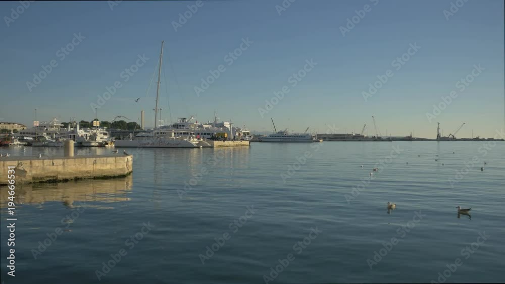 Seagulls and anchored boats Seagulls and anchored boats