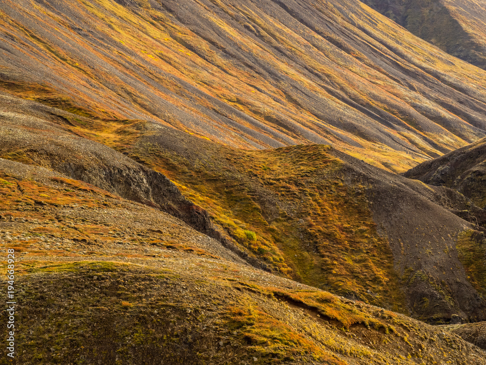 Rugged Landscape in Iceland