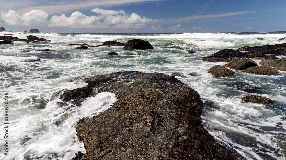 Pacific Northwest Coast