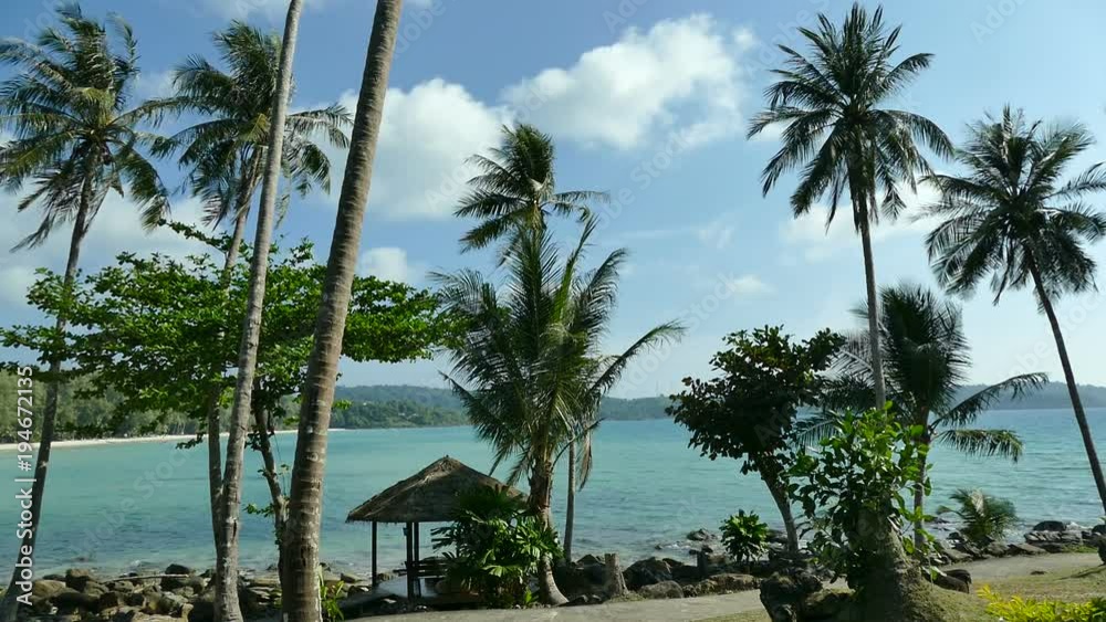 Nature with tropical sea and beach on white cloud and blue sky
Nature with tropical sea and beach on white cloud and blue sky