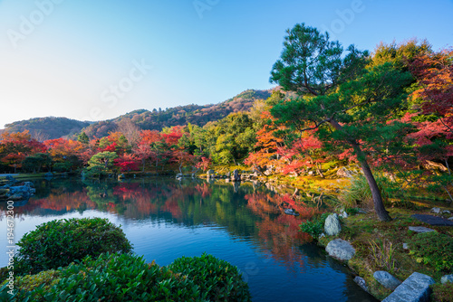 京都 天龍寺の紅葉