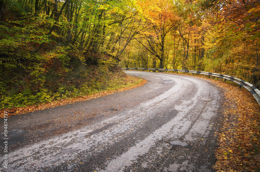 Road in autumn wood.