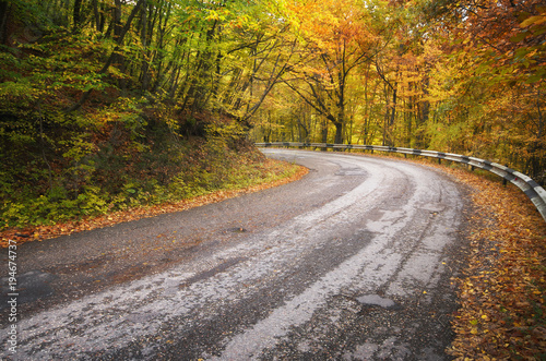 Road in autumn wood.