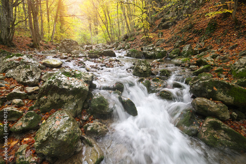 River into autumn canyon.