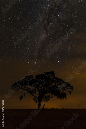 Starry Night In Senges, Brazil.