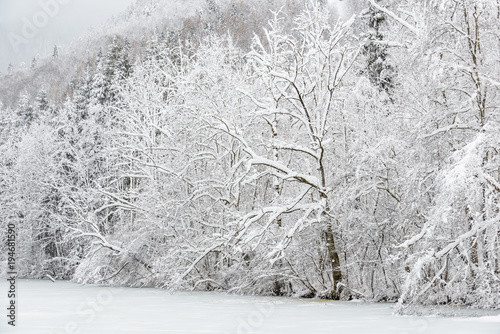 Winter in the Bavarian Alps.Germany