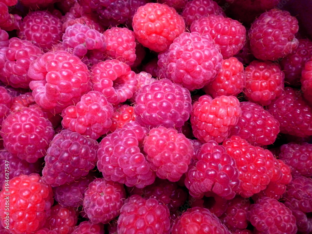 Fresh and sweet red raspberries texture background. Raspberry fruit pile background. Selection of freshly picked ripe organic raspberries background. Delicious first class raspberries heap background