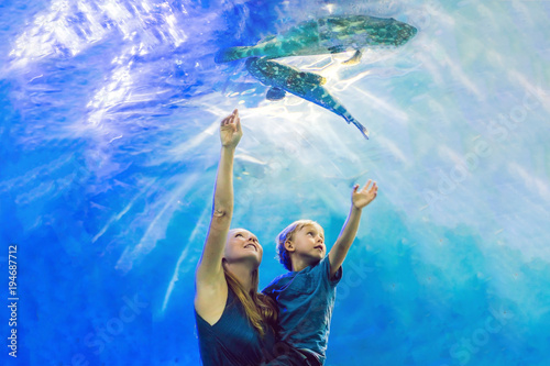 Photography Mother and son looking at fish in a tunnel aquarium