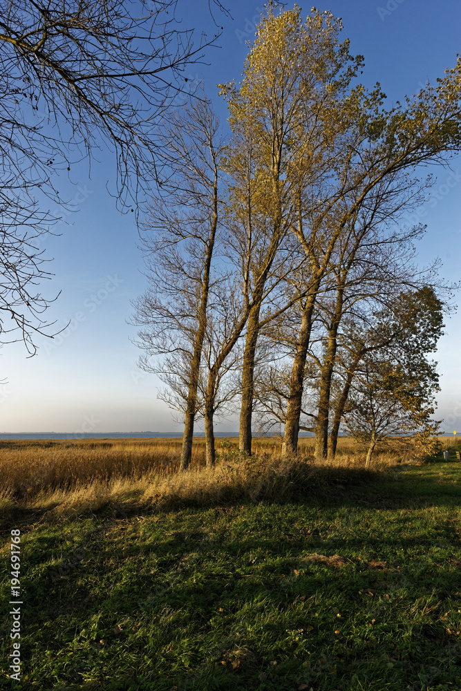 Lichtstimmung am Grabower Bodden bei Nisdorf am Abend, Nationalpark Vorpommersche Boddenlandschaft, Mecklenburg-Vorpommern, Deutschland Lichtstimmung am Grabower Bodden bei Nisdorf am Abend, Nationalpark Vorpommersche Boddenlandschaft, Mecklenburg-Vorpommern, Deutschland