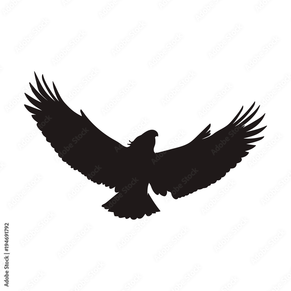 Obraz premium eagle silhouette vector