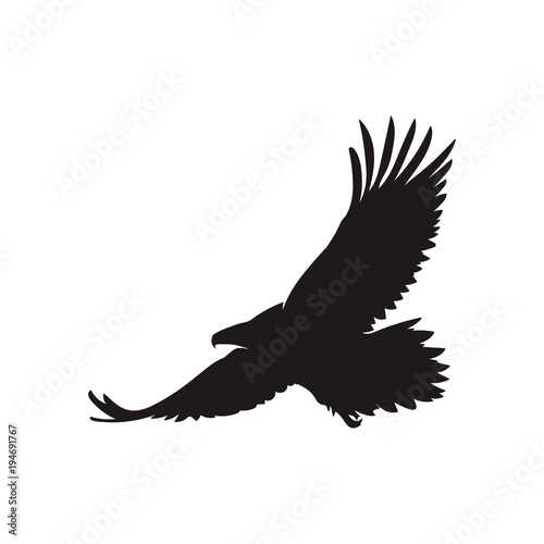 eagle silhouette vector