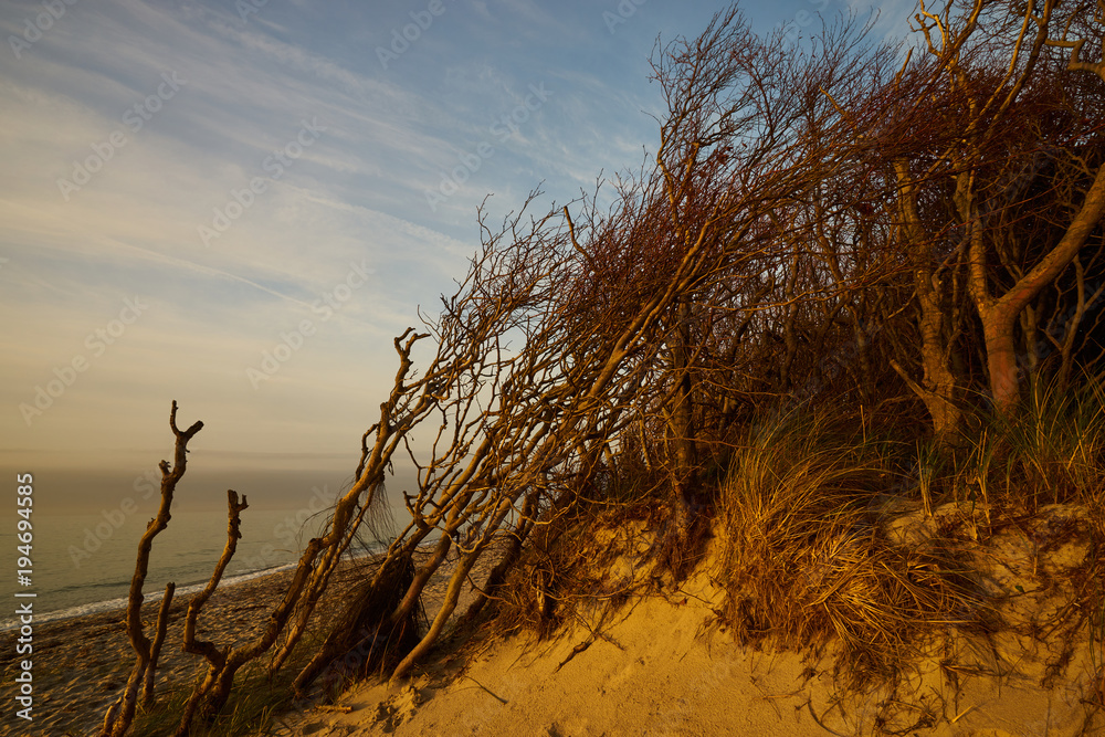 Lichtstimmung am Abend am Darßer Weststrand, Nationalpark Vorpommersche Boddenlandschaft, Mecklenburg Vorpommern, Deutschland. Lichtstimmung am Abend am Darßer Weststrand, Nationalpark Vorpommersche Boddenlandschaft, Mecklenburg Vorpommern, Deutschland.