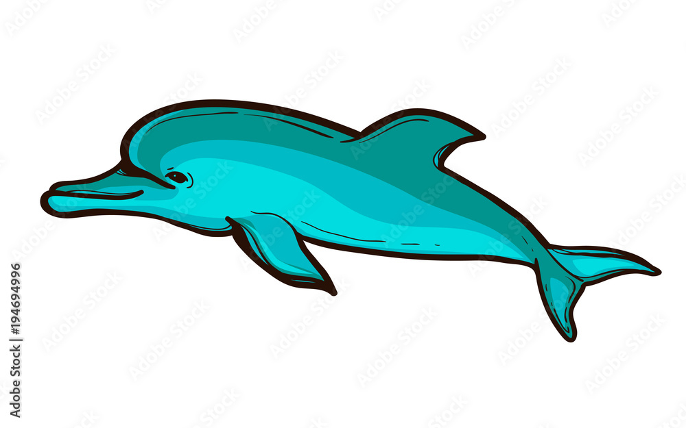 Vector illustration of a funny dolphin jumping